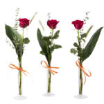 PACK OF 5 SANT JORDI´S ROSES