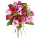 12 ROSES RED AND PINK