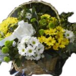 CESTA DE MARGARITAS GRANDE