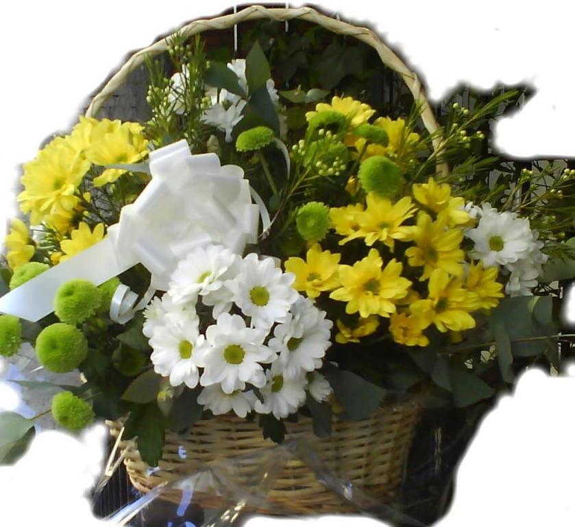 20091022182953-cesta-margaritas-web.jpg CESTA DE MARGARITAS GRANDE - Imagen 1