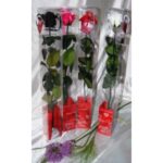 CAJA CON ROSA NARANJA liofilizada, duracion 3 años +