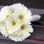 BRIDAL BOUQUET 10 GERBERAS