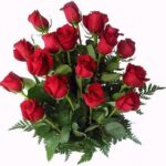 12 LARGE EXCLUSIVE RED ROSES