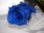 BLUE PRESERVED ROSE IN A BOX
