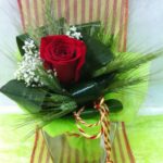 ROSA SAN JORDI EN JARRON