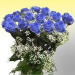 BLUE FRESH ROSES