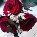 RAMO 3 ROSAS ETERNAS LIOFILIZADAS ROJAS