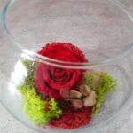 LARGE PRESERVED RED ROSE IN GLASS FISHBOWL