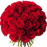 VERY LARGE BOUQUET OF ROSES