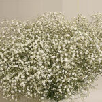 EXTRA DECO FLORECILLAS