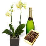 ORCHID, SPARKLING WINE AND CHOCOLATES