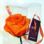 CAJA CON ROSA NARANJA liofilizada, duracion 3 años + - Imagen 2