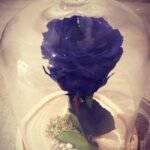 ROSAS ETERNAS EN CAMPANA DE CRISTAL