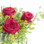 THREE RED ROSES BOOK DAY