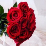 RED ROSES BOUQUET