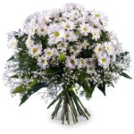 BOUQUET WHITE DAISIES