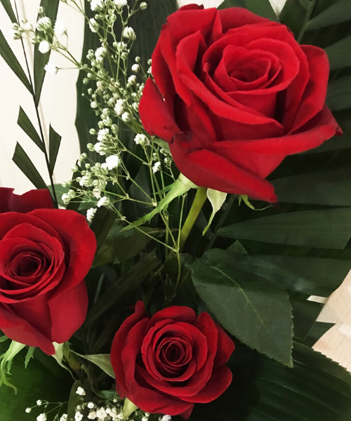 20211117180223-3-rosas-web.png TRES ROSAS - Imagen 1