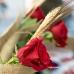 2 ROSAS DIA DEL LIBRO