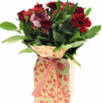 BASE ACUATICA CORAZONES