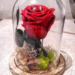 RED ROSE IN GLASS DOME