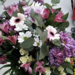 AUTUMN SPECIAL SELECTION