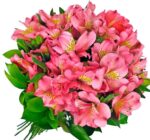 RAMO DE ALSTROEMERIAS (LIRIO DEL PERU) MONOCOLOR