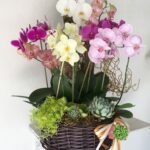 CESTO ORQUIDEAS COLOR 2