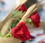 PACK OF 5 SANT JORDI´S ROSES - Image 2