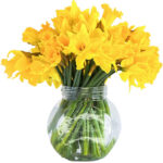 YELLOW DAFFODILS BOUQUET