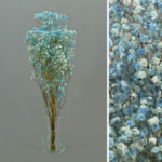 PRESERVED COLOR GYPSOPHYLA BOUQUET