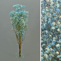 PRESERVED BLUE GYPSOPHILA PRESERVED COLOR GYPSOPHYLA BOUQUET - Image 1
