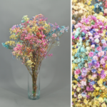 PRESERVED COLOR GYPSOPHYLA BOUQUET - Image 3