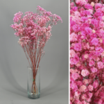 PRESERVED COLOR GYPSOPHYLA BOUQUET - Image 4