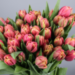 MONOCROMATIC TULIPS BOUQUET