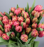MONOCROMATIC TULIPS BOUQUET