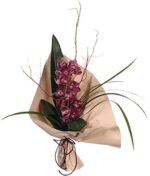 VARA DE ORQUIDEA - Imagen 2