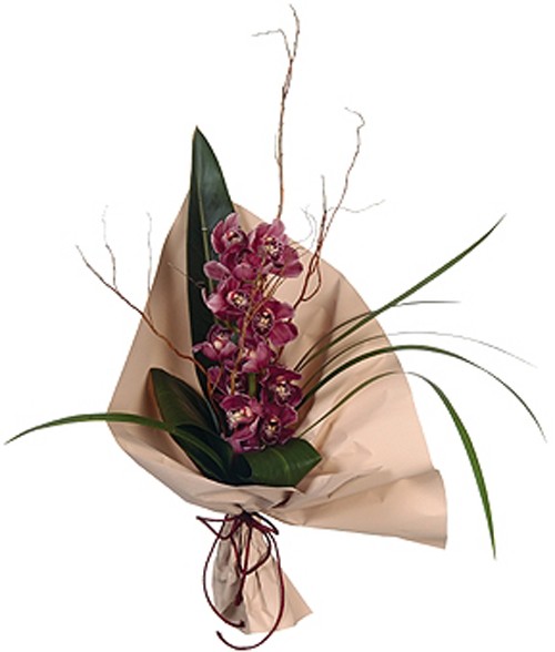 arreglo-sencillo-elegante VARA DE ORQUIDEA - Imagen 1