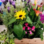 BASKET OF GARDEN PLANTS