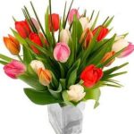THE TULIPS BOUQUET