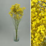 PRESERVED COLOR GYPSOPHYLA BOUQUET - Image 2