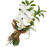 ORCHID BOUQUET