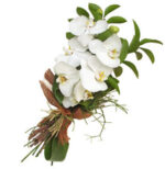 ORCHID BOUQUET