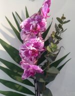 ORCHID BOUQUET - Image 2