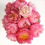 PINK PEONIES BOUQUET